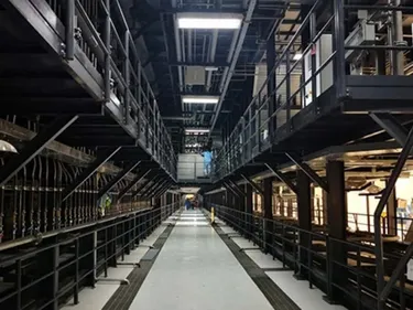 Pretreatment & E-Coating