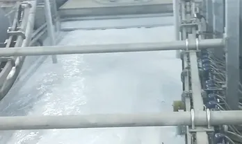 Electrophoretic paint maintained under 24-hour continuous agitation